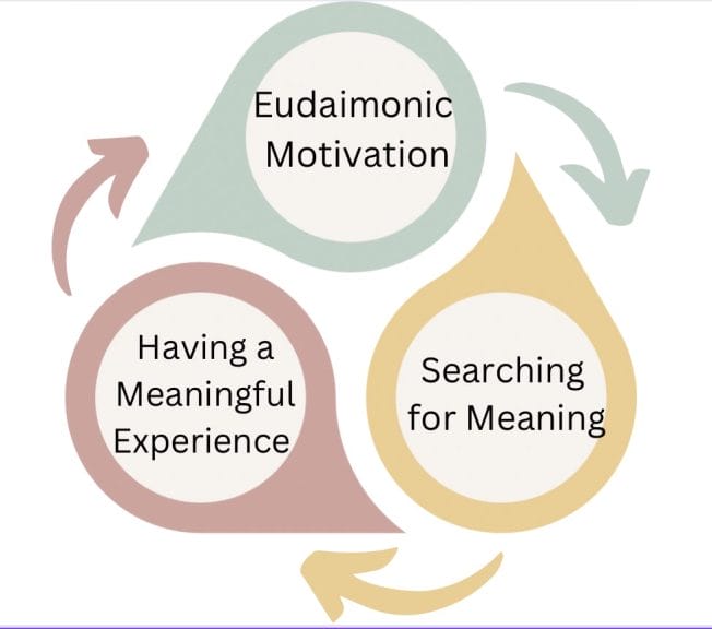 Infographic made in Canva explaining Eudaimonic Motivation